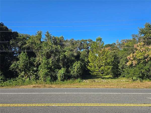 1 Acre of Land for Sale in Hernando, Florida