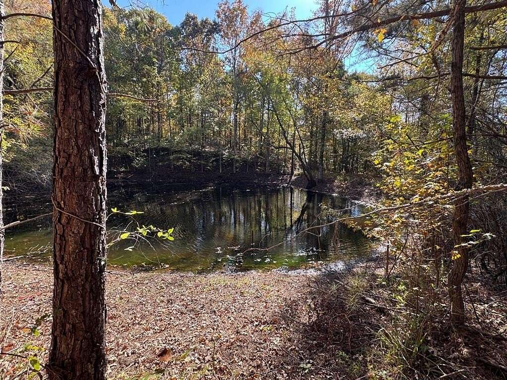34.1 Acres of Recreational Land for Sale in Waterford, Mississippi