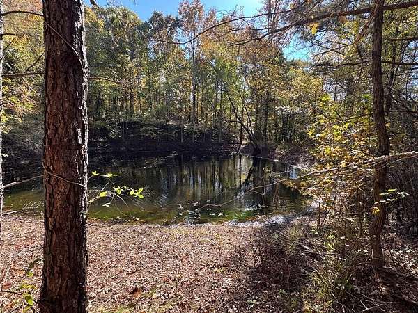 34.1 Acres of Recreational Land for Sale in Waterford, Mississippi
