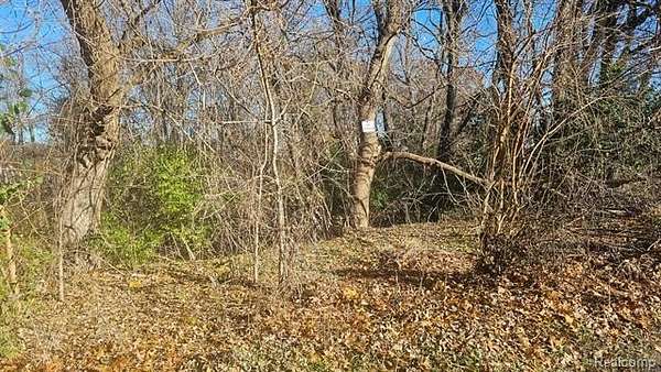 0.22 Acres of Residential Land for Sale in Hamburg Township, Michigan