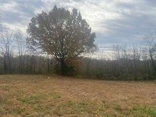 0.67 Acres of Residential Land for Sale in Mountain View, Missouri