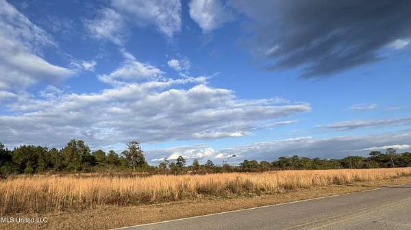 9 Acres of Residential Land for Sale in Wiggins, Mississippi