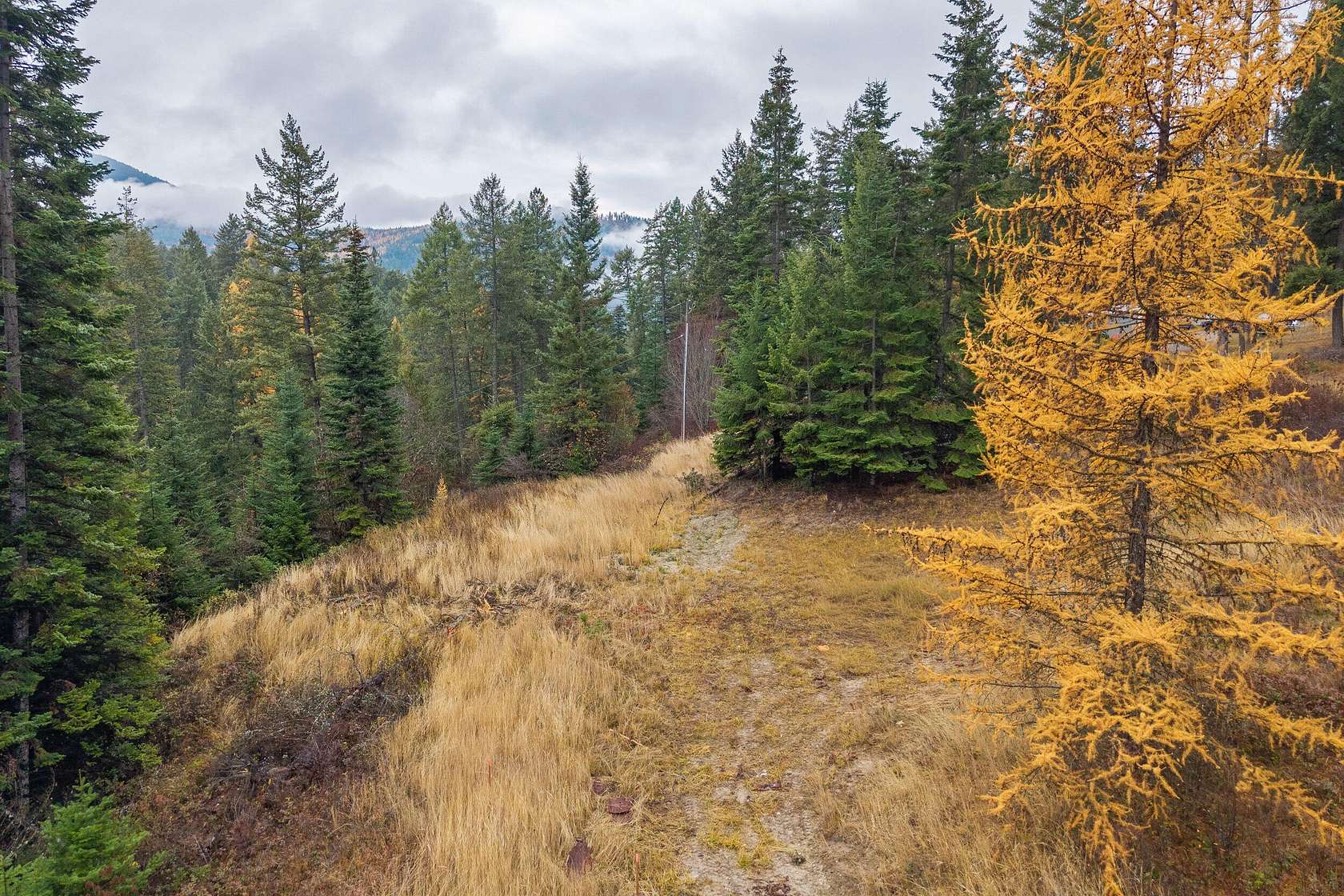 5.45 Acres of Residential Land for Sale in Colville, Washington