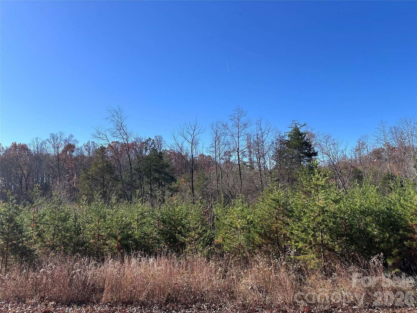 10.4 Acres of Land for Sale in Sandy Ridge, North Carolina