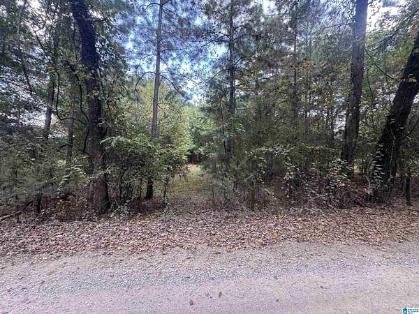 0.64 Acres of Residential Land for Sale in Montevallo, Alabama