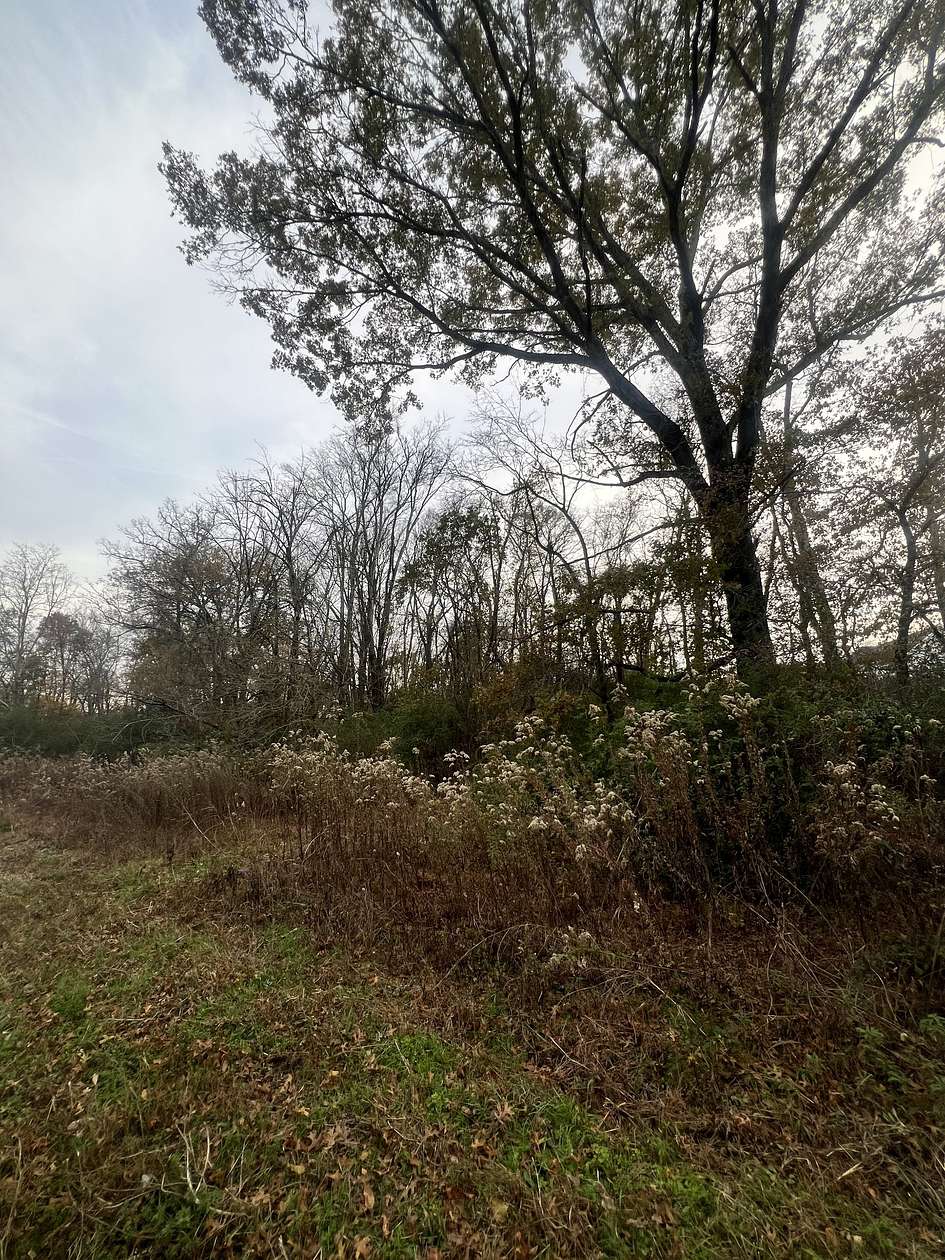 6.79 Acres of Residential Land for Sale in Columbia, Tennessee