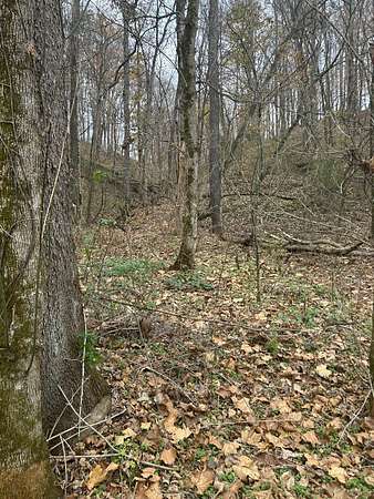 4 Acres of Land for Sale in Red Boiling Springs, Tennessee