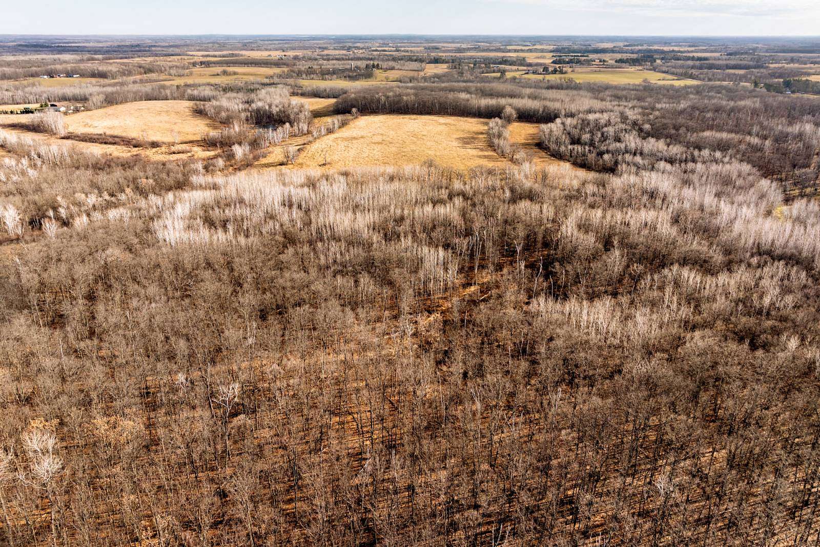 40 Acres of Recreational Land for Sale in Pine River, Minnesota