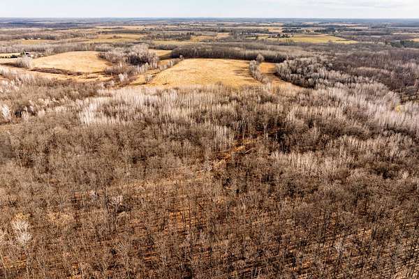 40 Acres of Recreational Land for Sale in Pine River, Minnesota