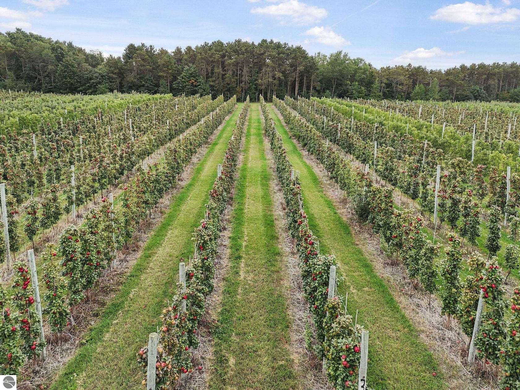 12.1 Acres of Land for Sale in Empire, Michigan