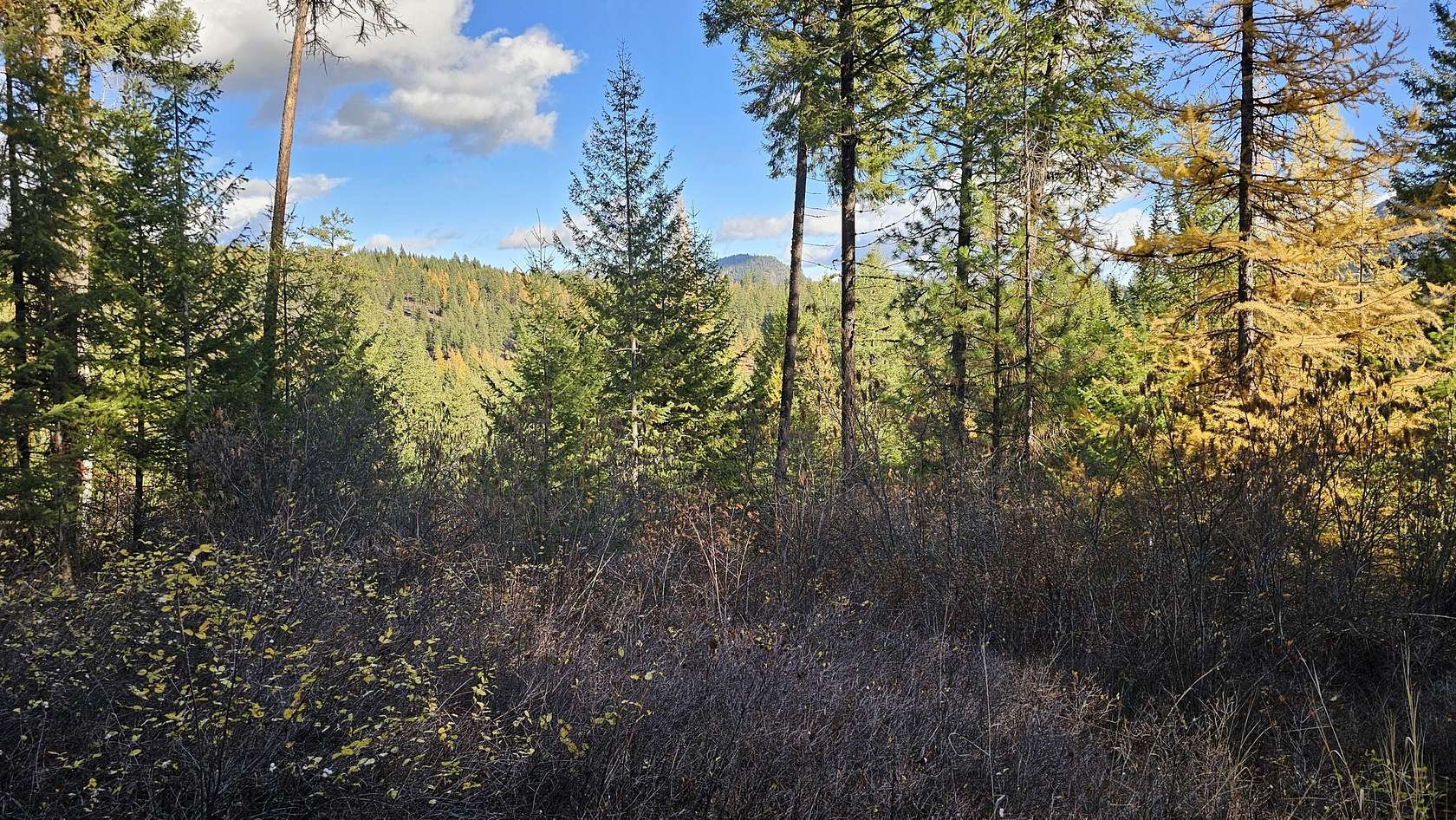 6.5 Acres of Land for Sale in Colville, Washington
