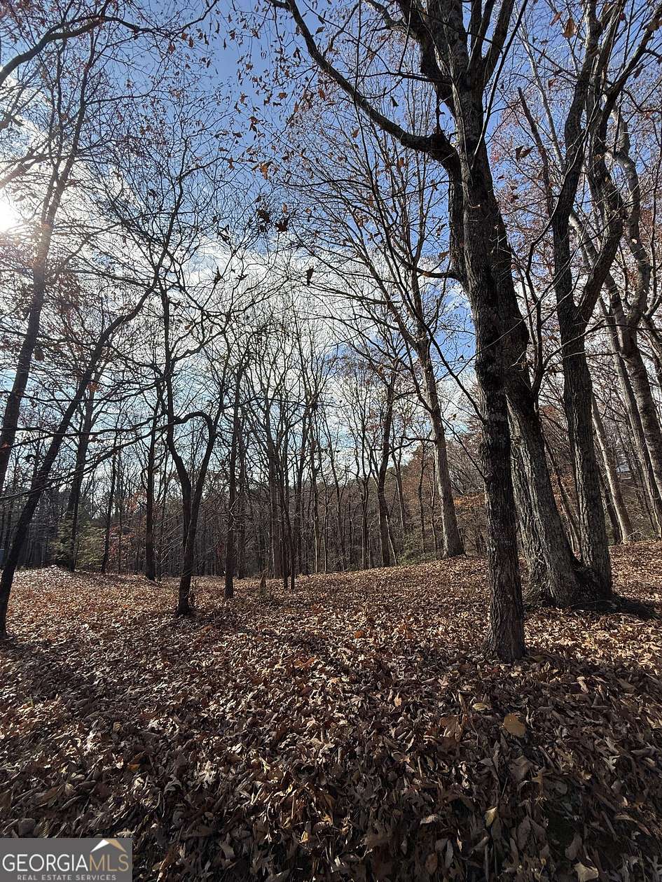 5 Acres of Residential Land for Sale in Jasper, Georgia