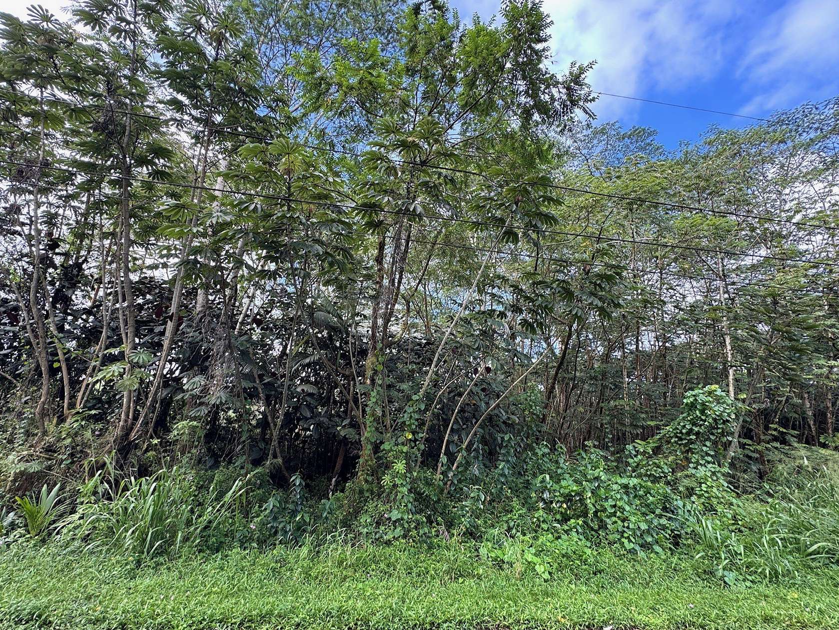 0.21 Acres of Residential Land for Sale in Pahoa, Hawaii