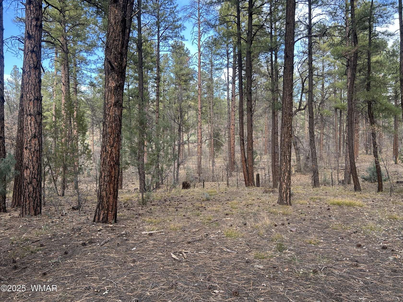 0.42 Acres of Land for Sale in Show Low, Arizona