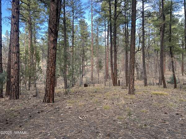0.42 Acres of Land for Sale in Show Low, Arizona