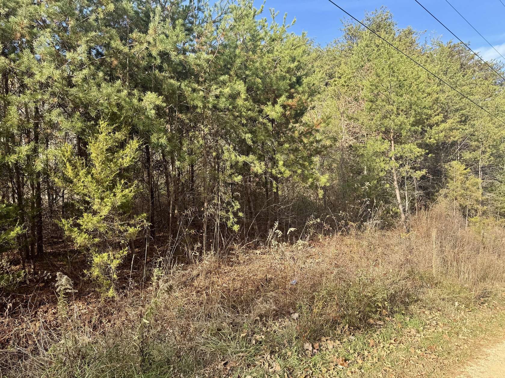 10.1 Acres of Recreational Land for Sale in Parrottsville, Tennessee