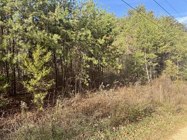 10.1 Acres of Recreational Land for Sale in Parrottsville, Tennessee