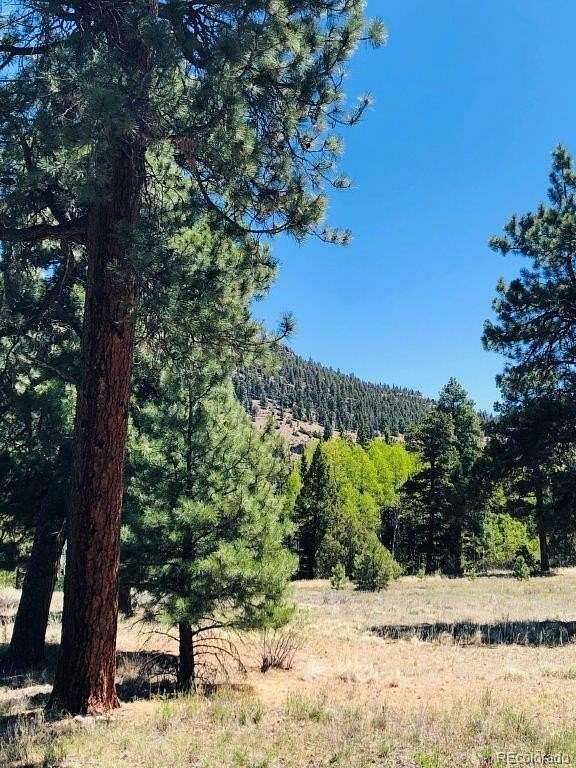 1.24 Acres of Residential Land for Sale in Antonito, Colorado