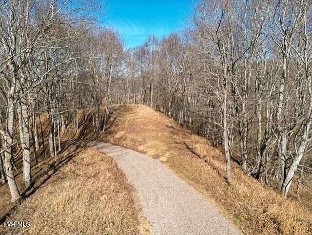 79.2 Acres of Land for Sale in Trade, Tennessee