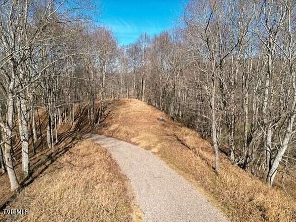 79.2 Acres of Land for Sale in Trade, Tennessee