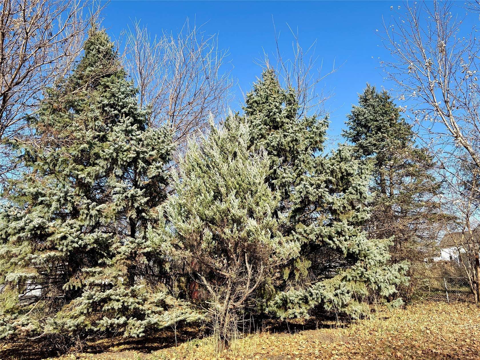 0.19 Acres of Residential Land for Sale in Sheldahl, Iowa