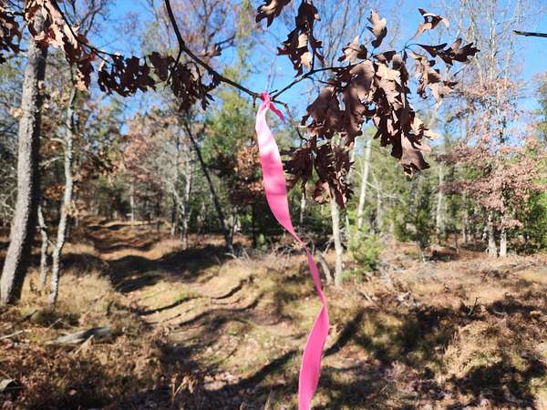 10 Acres of Recreational Land for Sale in Baldwin, Michigan