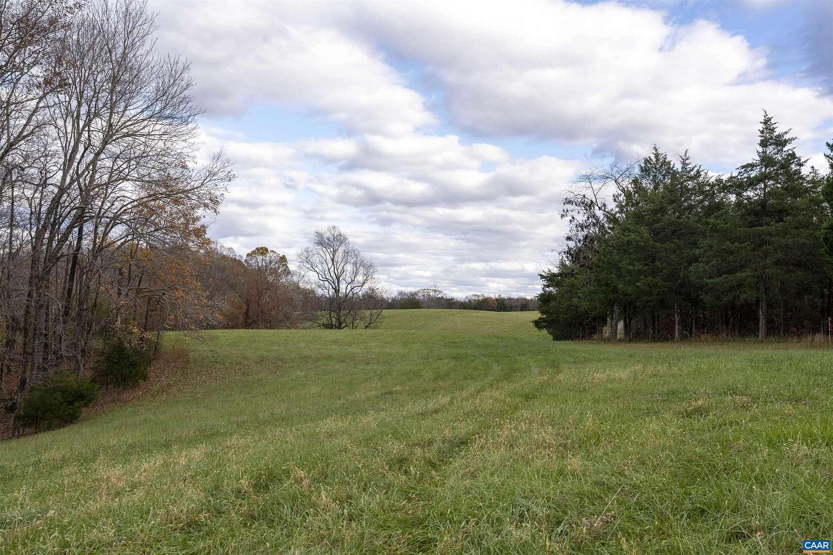 21.6 Acres of Agricultural Land for Sale in Scottsville, Virginia