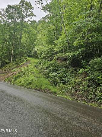 22.3 Acres of Recreational Land & Farm for Sale in Grundy, Virginia