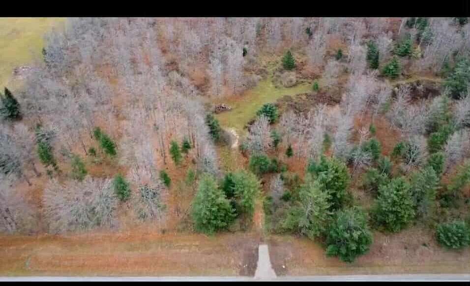 38.8 Acres of Recreational Land for Sale in Curran, Michigan