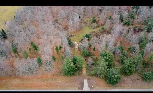 38.8 Acres of Recreational Land for Sale in Curran, Michigan