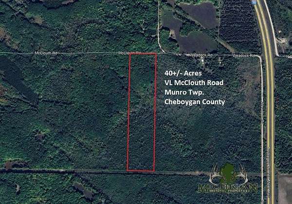 40 Acres of Recreational Land for Sale in Levering, Michigan