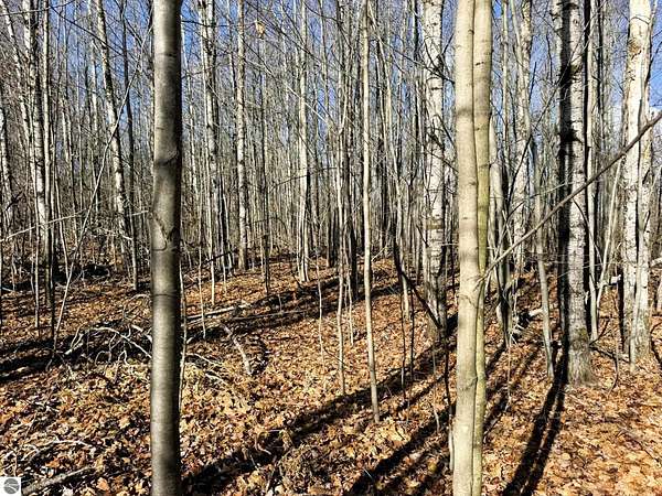 0.55 Acres of Land for Sale in Mancelona, Michigan