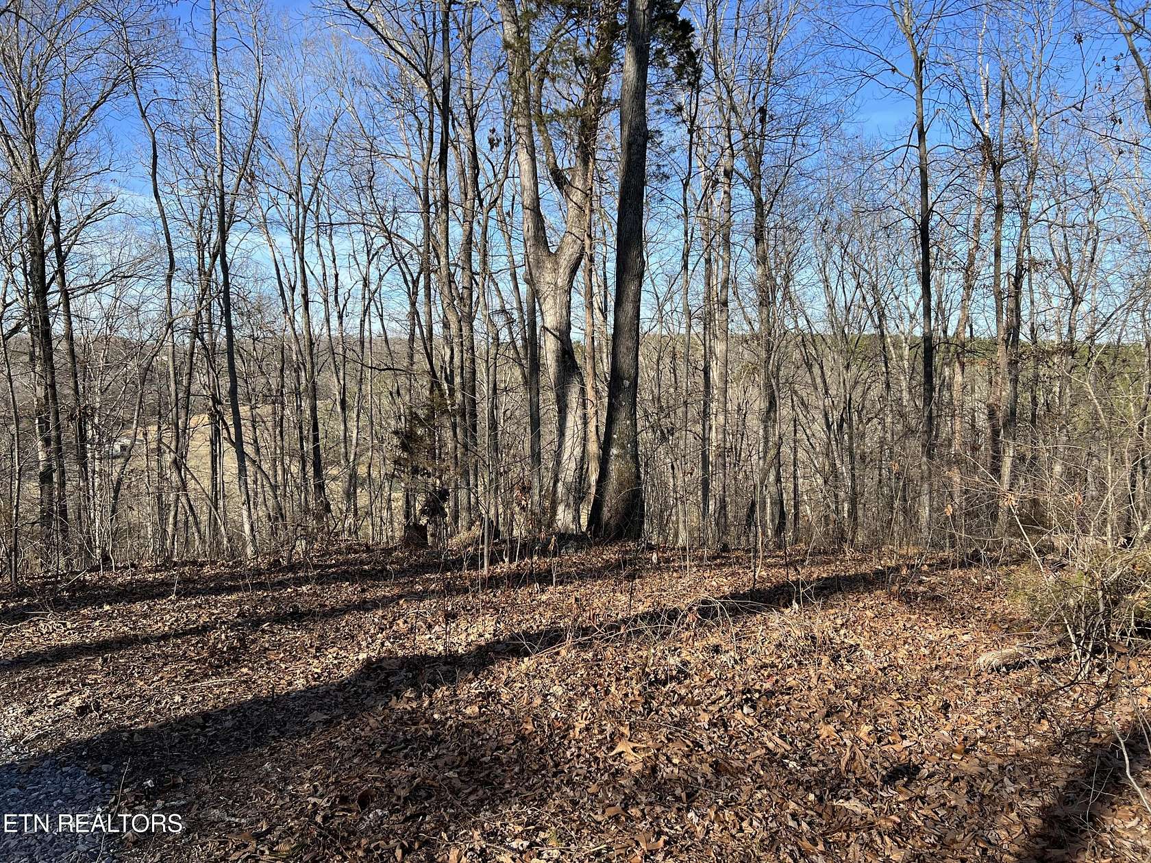 5 Acres of Residential Land for Sale in Loudon, Tennessee