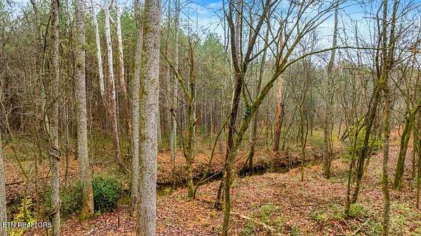 5 Acres of Residential Land for Sale in Loudon, Tennessee