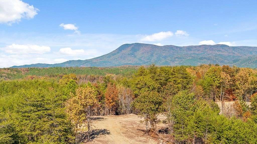 91.8 Acres of Land for Sale in Chatsworth, Georgia