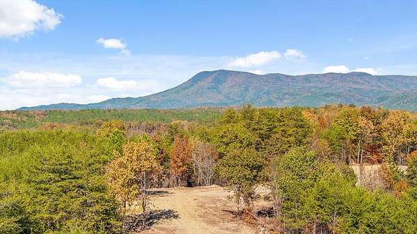 91.8 Acres of Land for Sale in Chatsworth, Georgia