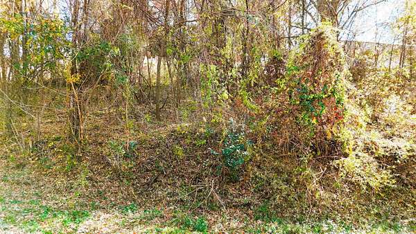 0.34 Acres of Residential Land for Sale in Spartanburg, South Carolina