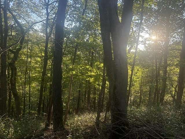 2.66 Acres of Residential Land for Sale in Richmond, Kentucky