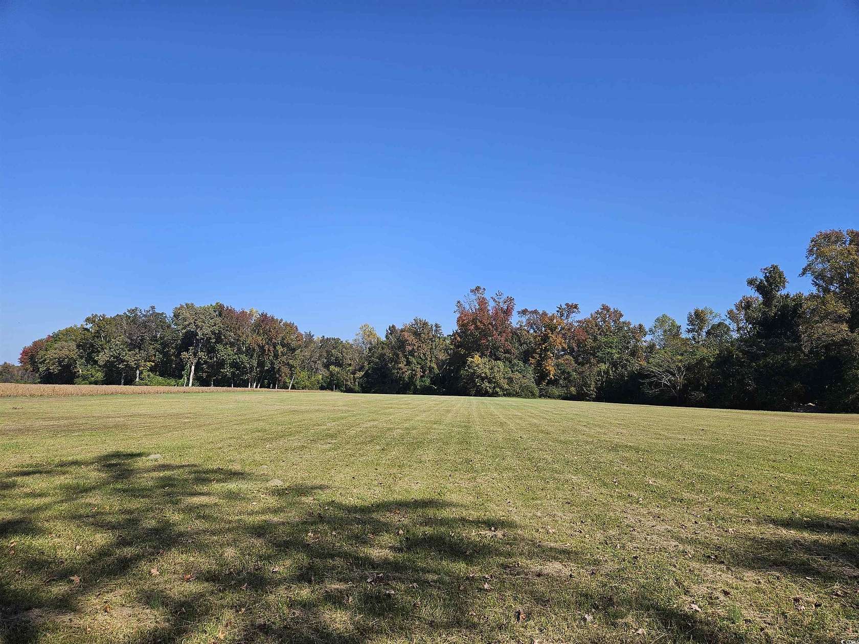 5.9 Acres of Residential Land for Sale in Lake City, South Carolina