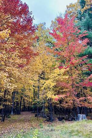 2.23 Acres of Residential Land for Sale in Arkdale, Wisconsin