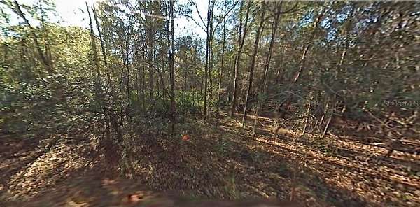 0.23 Acres of Residential Land for Sale in Ocala, Florida