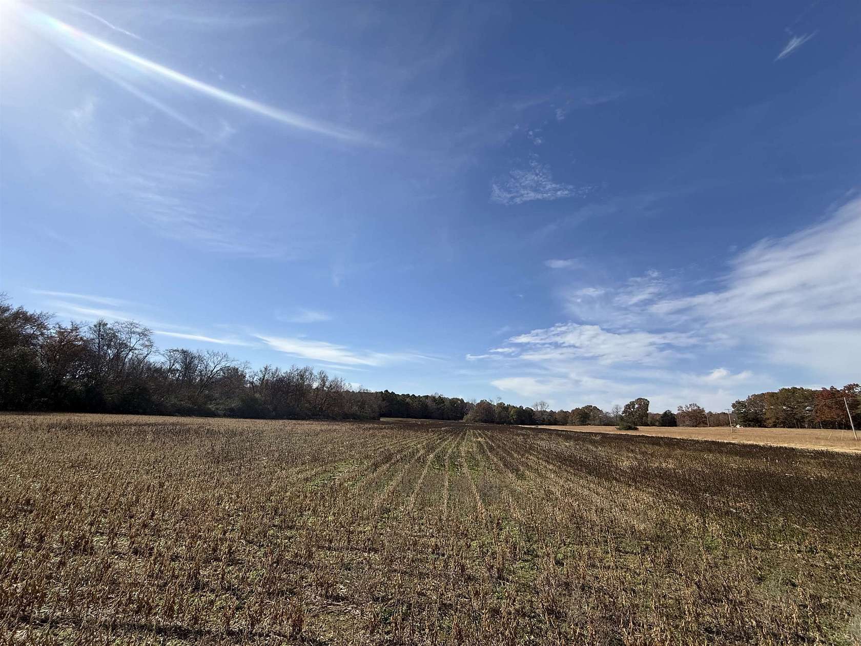 23 Acres of Recreational Land for Sale in Florence, Alabama