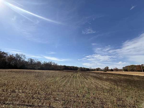 23 Acres of Recreational Land for Sale in Florence, Alabama