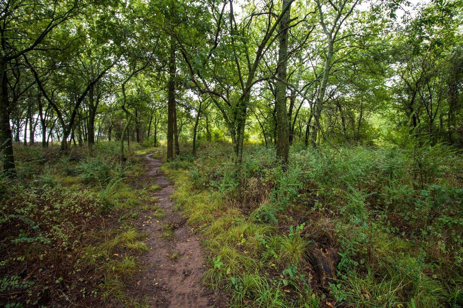 20 Acres of Agricultural Land for Auction in Byars, Oklahoma