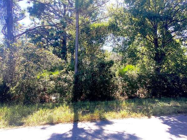 0.23 Acres of Residential Land for Sale in Lake Placid, Florida