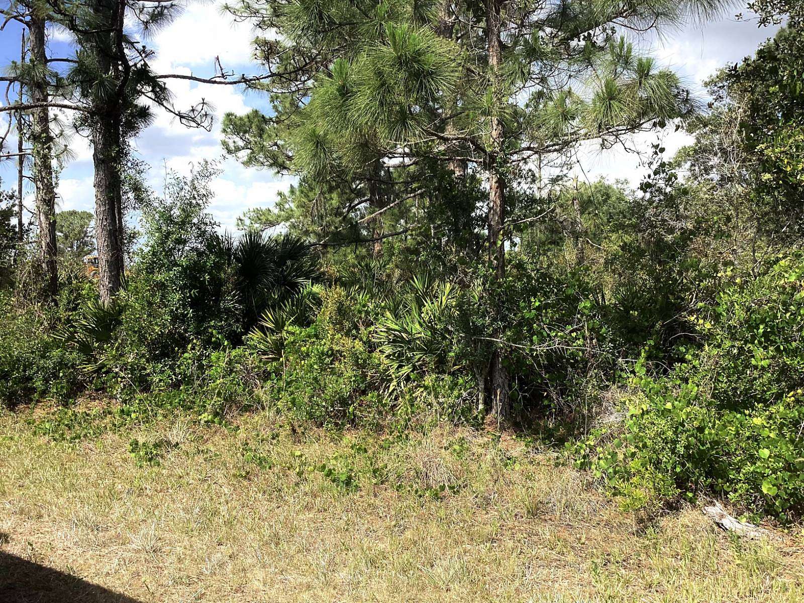 0.23 Acres of Residential Land for Sale in Lake Placid, Florida