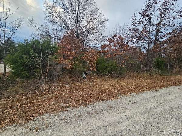 22.4 Acres of Agricultural Land for Sale in Richland, Missouri