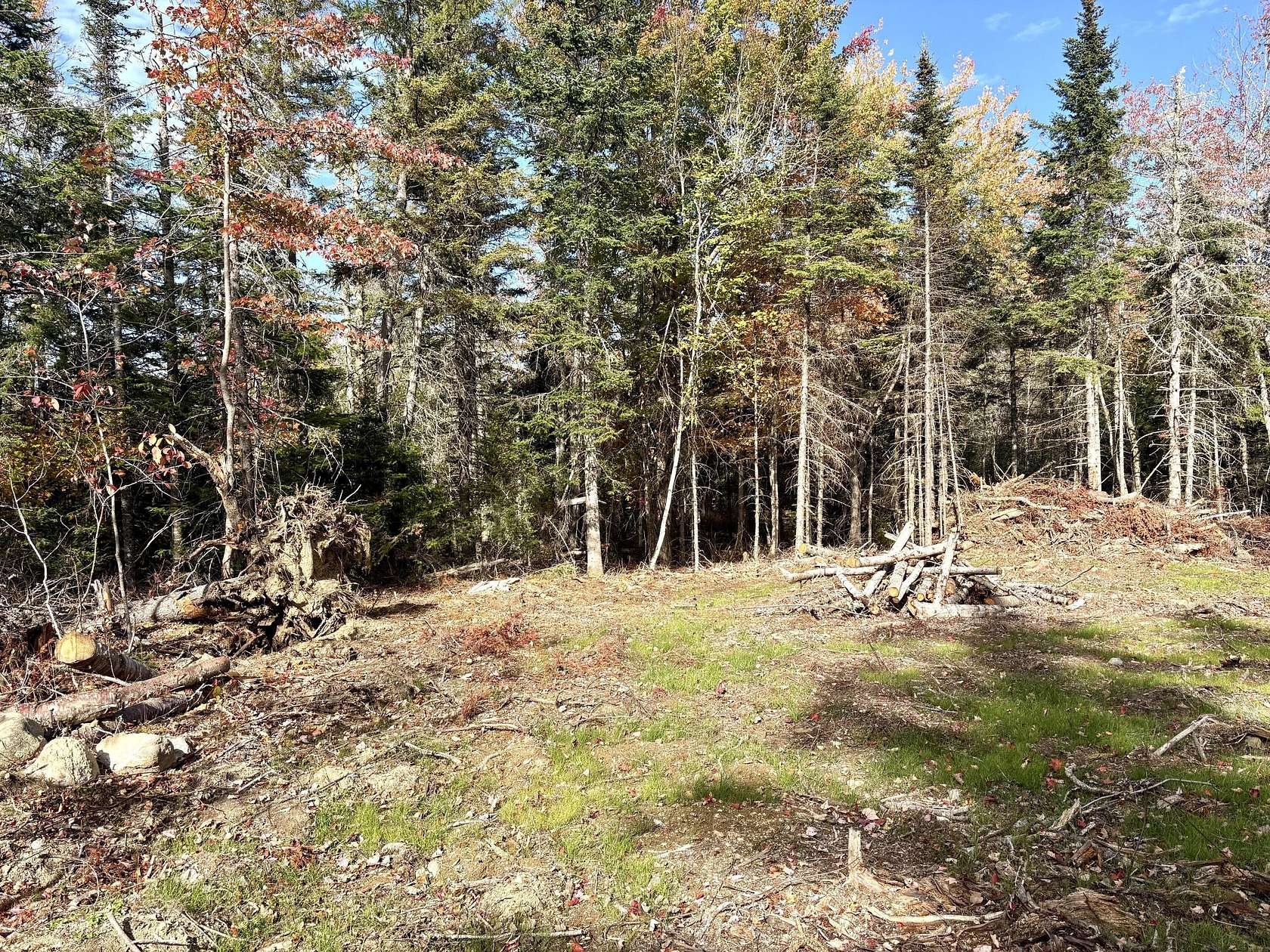1.14 Acres of Residential Land for Sale in Perry, Maine