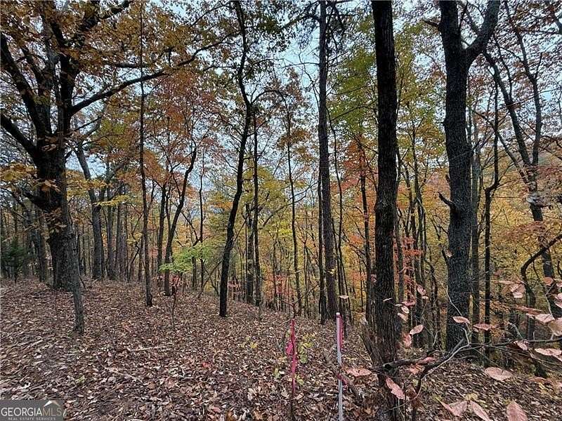 4.52 Acres of Land for Sale in Ranger, Georgia