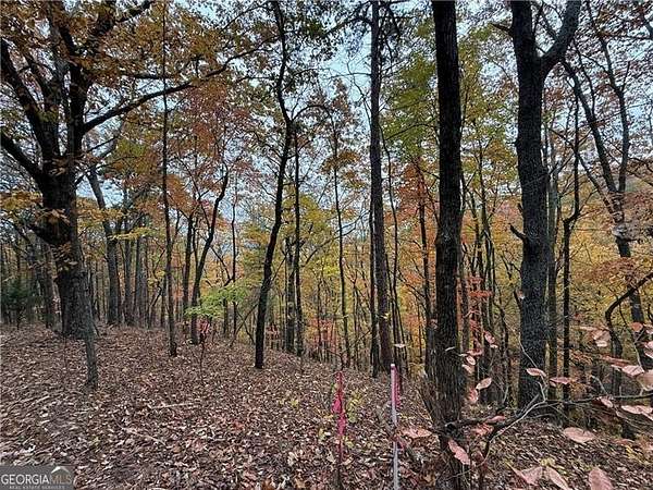 4.52 Acres of Land for Sale in Ranger, Georgia